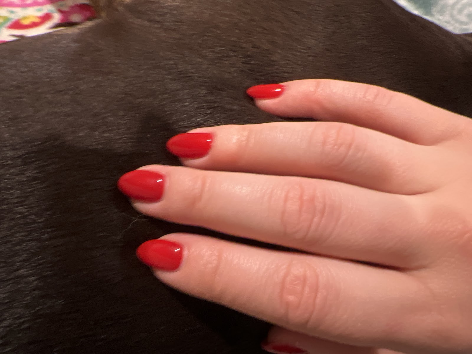 Work by Cam's Nail Boutique